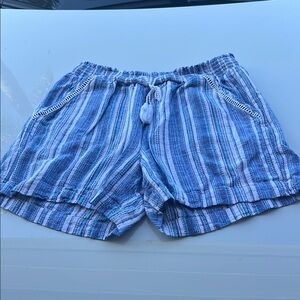 Briggs Striped Blue and White Casual Shorts